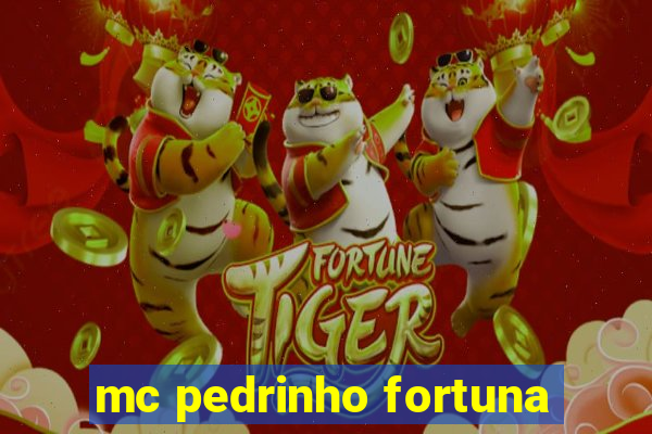 mc pedrinho fortuna